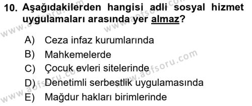 Sokak Sosyal Hizmeti Ve Adli Sosyal Hizmet Dersi 2022 - 2023 Yılı Yaz Okulu Sınavı 10. Soru