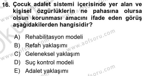 Sokak Sosyal Hizmeti Ve Adli Sosyal Hizmet Dersi 2022 - 2023 Yılı Yaz Okulu Sınavı 16. Soru