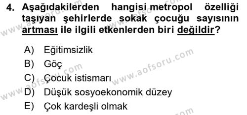 Sokak Sosyal Hizmeti Ve Adli Sosyal Hizmet Dersi 2022 - 2023 Yılı Yaz Okulu Sınavı 4. Soru