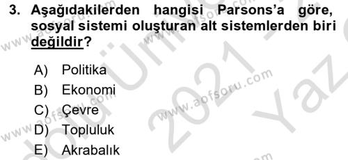 Toplumla Sosyal Hizmet Dersi 2021 - 2022 Yılı Yaz Okulu Sınavı 3. Soru