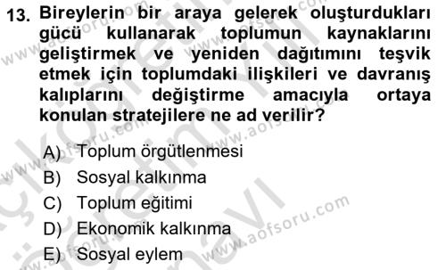 Toplumla Sosyal Hizmet Dersi 2022 - 2023 Yılı Yaz Okulu Sınavı 13. Soru