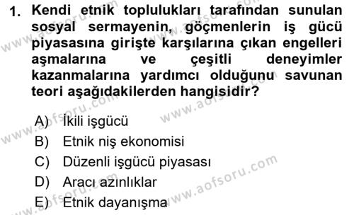 Göçmen Ve Sığınmacılarla Sosyal Hizmet Dersi 2022 - 2023 Yılı (Vize) Ara Sınavı 1. Soru