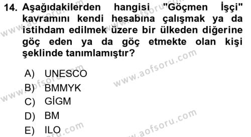 Göçmen Ve Sığınmacılarla Sosyal Hizmet Dersi 2022 - 2023 Yılı Yaz Okulu Sınavı 14. Soru