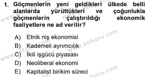 Göçmen Ve Sığınmacılarla Sosyal Hizmet Dersi 2023 - 2024 Yılı (Vize) Ara Sınavı 1. Soru