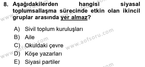 Siyaset Bilimi Dersi 2021 - 2022 Yılı Yaz Okulu Sınavı 8. Soru