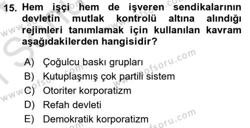 Siyaset Bilimi Dersi 2023 - 2024 Yılı (Final) Dönem Sonu Sınavı 15. Soru