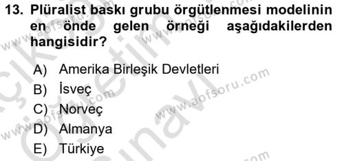 Siyaset Bilimi Dersi 2023 - 2024 Yılı Yaz Okulu Sınavı 13. Soru