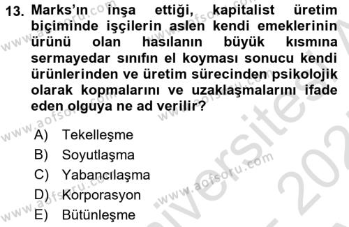 Siyaset Bilimi Dersi 2024 - 2025 Yılı (Vize) Ara Sınavı 13. Soru