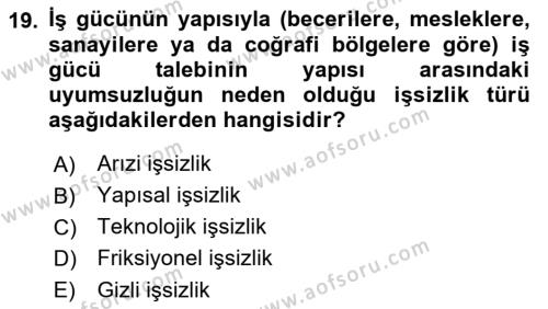 Gelişmekte Olan Ülkelerde Siyaset Dersi 2021 - 2022 Yılı (Vize) Ara Sınavı 19. Soru