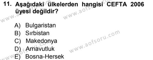 Balkanlar´da Siyaset Dersi 2012 - 2013 Yılı (Final) Dönem Sonu Sınavı 11. Soru