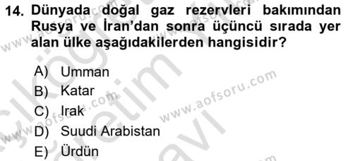 Orta Doğuda Siyaset Dersi 2020 - 2021 Yılı Yaz Okulu Sınavı 14. Soru