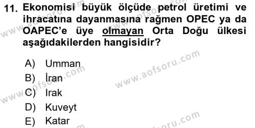 Orta Doğuda Siyaset Dersi 2021 - 2022 Yılı (Final) Dönem Sonu Sınavı 11. Soru