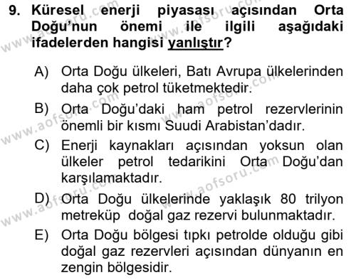 Orta Doğuda Siyaset Dersi 2021 - 2022 Yılı (Final) Dönem Sonu Sınavı 9. Soru