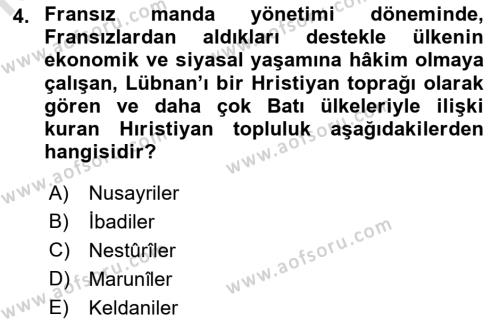 Orta Doğuda Siyaset Dersi 2021 - 2022 Yılı Yaz Okulu Sınavı 4. Soru