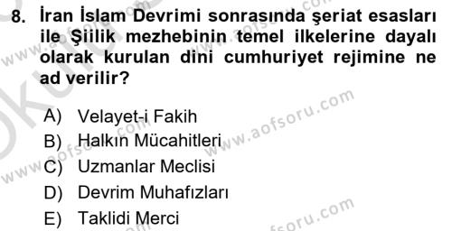 Orta Doğuda Siyaset Dersi 2022 - 2023 Yılı Yaz Okulu Sınavı 8. Soru