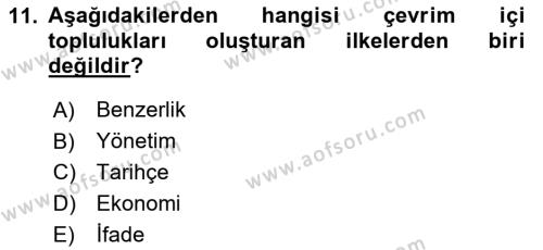 Dijital Medya ve Tüketici Dersi 2024 - 2025 Yılı (Vize) Ara Sınavı 11. Soru