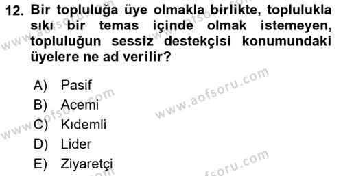 Dijital Medya ve Tüketici Dersi 2024 - 2025 Yılı (Vize) Ara Sınavı 12. Soru