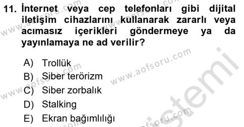 Sosyal Medya Yönetimi Dersi 2024 - 2025 Yılı (Vize) Ara Sınavı 11. Soru