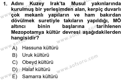 Sanat Tarihi Dersi 2021 - 2022 Yılı Yaz Okulu Sınavı 1. Soru