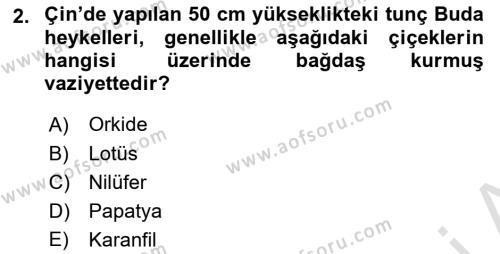 Sanat Tarihi Dersi 2023 - 2024 Yılı (Vize) Ara Sınavı 2. Soru