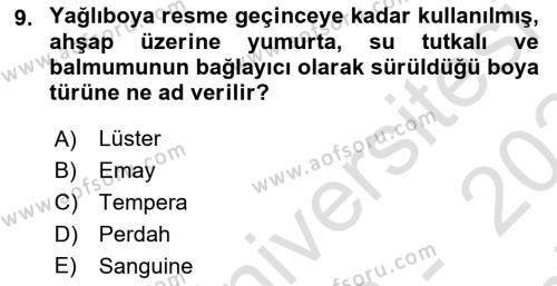 Sanat Tarihi Dersi 2023 - 2024 Yılı (Final) Dönem Sonu Sınavı 9. Soru