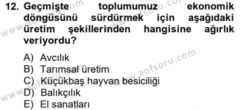 Topluma Hizmet Eğitimi Dersi 2012 - 2013 Yılı (Final) Dönem Sonu Sınavı 12. Soru