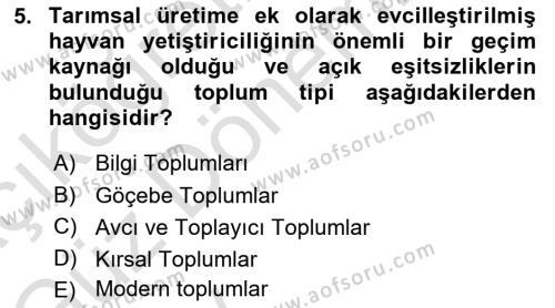 Sosyolojiye Giriş Dersi 2024 - 2025 Yılı (Vize) Ara Sınavı 5. Soru