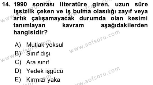 Sosyal Bilimlerde Temel Kavramlar Dersi 2022 - 2023 Yılı (Final) Dönem Sonu Sınavı 14. Soru