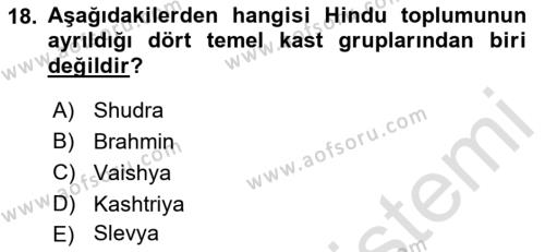 Sosyal Bilimlerde Temel Kavramlar Dersi 2022 - 2023 Yılı Yaz Okulu Sınavı 18. Soru