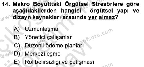 Örgütsel Davranış Dersi 2022 - 2023 Yılı Yaz Okulu Sınavı 14. Soru