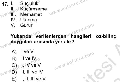 Örgütsel Davranış Dersi 2023 - 2024 Yılı (Vize) Ara Sınavı 17. Soru