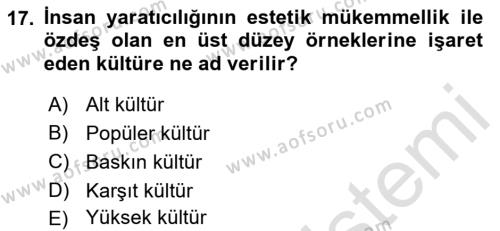 Davranış Bilimleri 1 Dersi 2023 - 2024 Yılı (Vize) Ara Sınavı 17. Soru