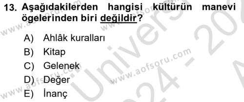 Davranış Bilimleri 1 Dersi 2024 - 2025 Yılı (Vize) Ara Sınavı 13. Soru