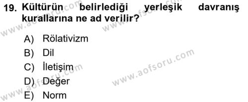 Davranış Bilimleri 1 Dersi 2024 - 2025 Yılı (Vize) Ara Sınavı 19. Soru