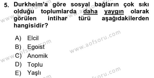 Davranış Bilimleri 1 Dersi 2024 - 2025 Yılı (Vize) Ara Sınavı 5. Soru