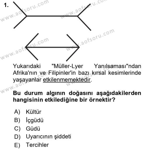 Davranış Bilimleri 2 Dersi 2021 - 2022 Yılı (Final) Dönem Sonu Sınavı 1. Soru