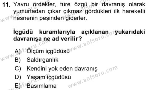 Davranış Bilimleri 2 Dersi 2023 - 2024 Yılı (Vize) Ara Sınavı 11. Soru