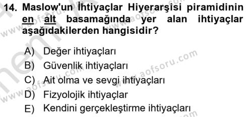 Davranış Bilimleri 2 Dersi 2023 - 2024 Yılı (Vize) Ara Sınavı 14. Soru