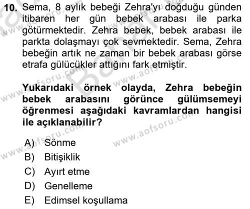 Davranış Bilimleri 2 Dersi 2023 - 2024 Yılı (Final) Dönem Sonu Sınavı 10. Soru