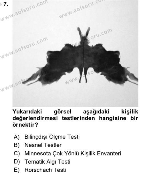 Davranış Bilimleri 2 Dersi 2023 - 2024 Yılı (Final) Dönem Sonu Sınavı 7. Soru