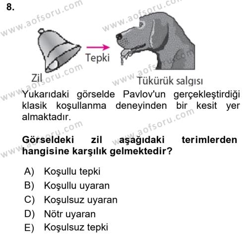 Davranış Bilimleri 2 Dersi 2023 - 2024 Yılı (Final) Dönem Sonu Sınavı 8. Soru