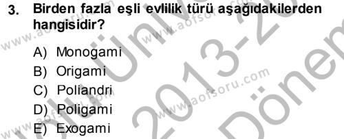 Sosyal Sorunlar Dersi 2013 - 2014 Yılı (Final) Dönem Sonu Sınavı 3. Soru