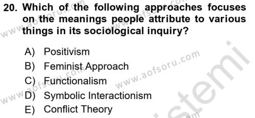 Introduction to Sociology Dersi 2022 - 2023 Yılı (Vize) Ara Sınavı 20. Soru