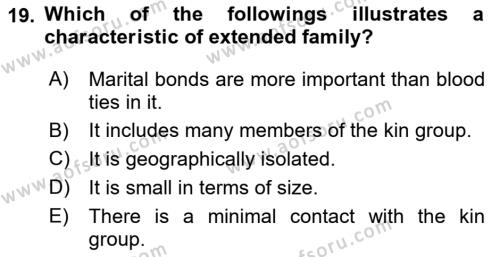 Introduction to Sociology Dersi 2022 - 2023 Yılı Yaz Okulu Sınavı 19. Soru