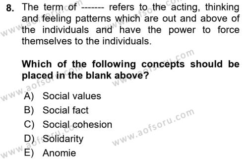 Introduction to Sociology Dersi 2022 - 2023 Yılı Yaz Okulu Sınavı 8. Soru