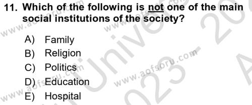 Introduction to Sociology Dersi 2023 - 2024 Yılı (Vize) Ara Sınavı 11. Soru