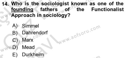 Introduction to Sociology Dersi 2023 - 2024 Yılı (Vize) Ara Sınavı 14. Soru