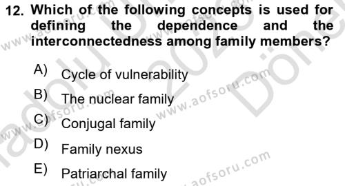 Introduction to Sociology Dersi 2023 - 2024 Yılı (Final) Dönem Sonu Sınavı 12. Soru