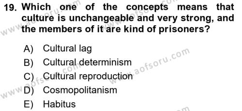 Introduction to Sociology Dersi 2023 - 2024 Yılı (Final) Dönem Sonu Sınavı 19. Soru