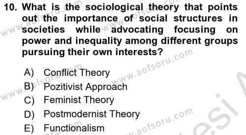 Introduction to Sociology Dersi 2023 - 2024 Yılı Yaz Okulu Sınavı 10. Soru